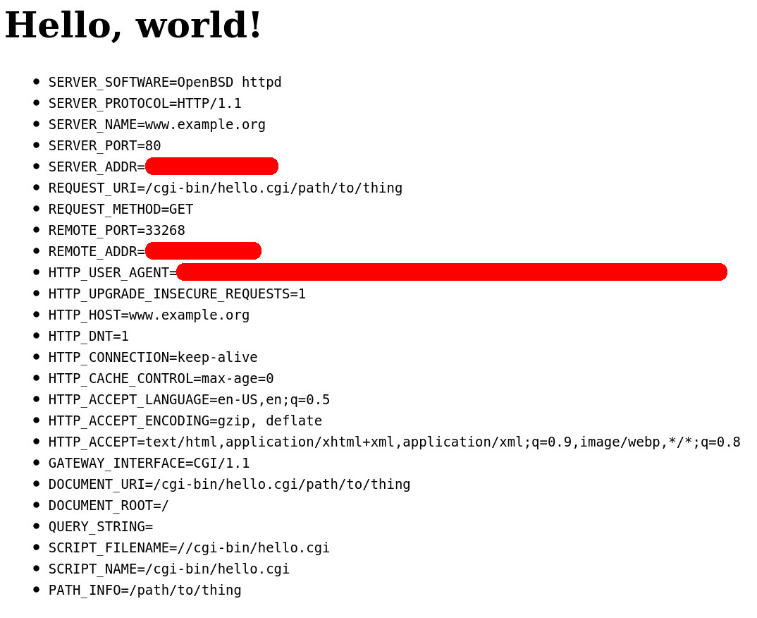 Generated webpage showing the CGI application's environment variables
